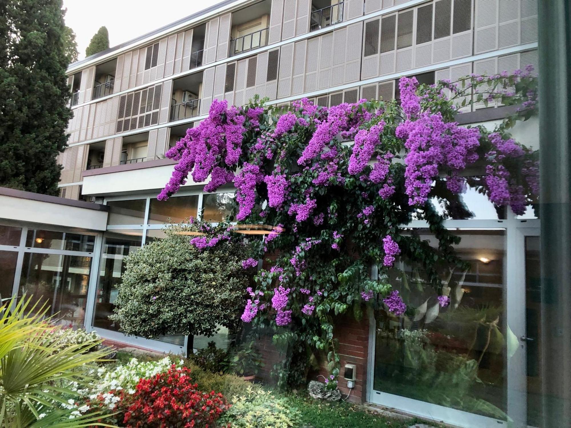 Residence Villa Alba 가르도네리비에라 외부 사진